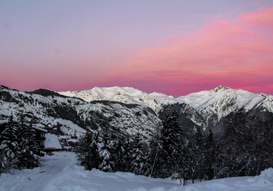 Le chemin de Montfalcon