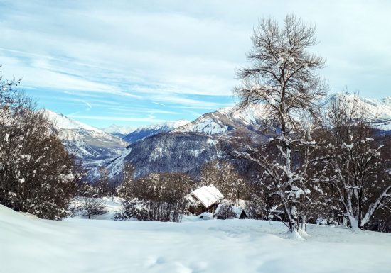 Le chemin de Montfalcon