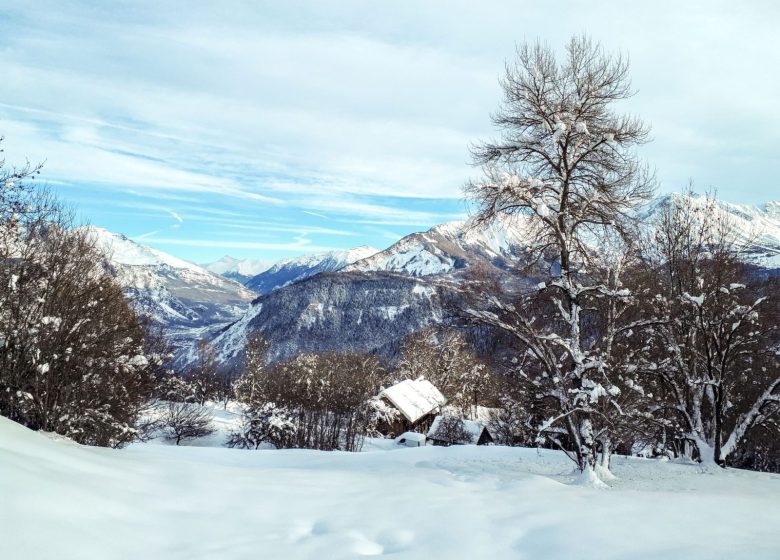 Le chemin de Montfalcon