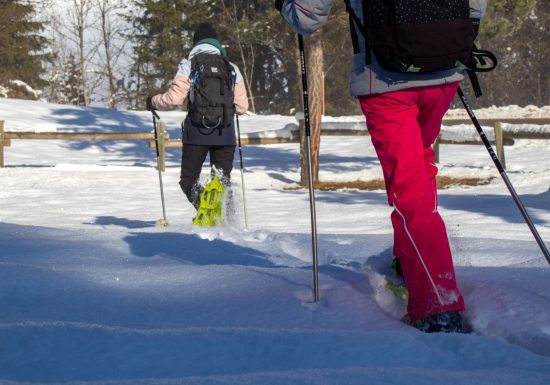 Le sentier du haut de Jarrier