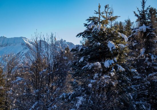 Le sentier du haut de Jarrier