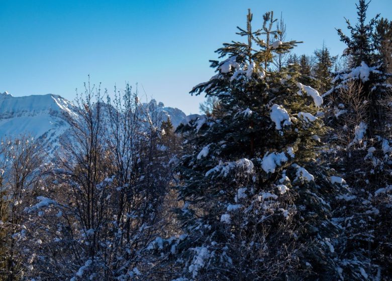 Le sentier du haut de Jarrier