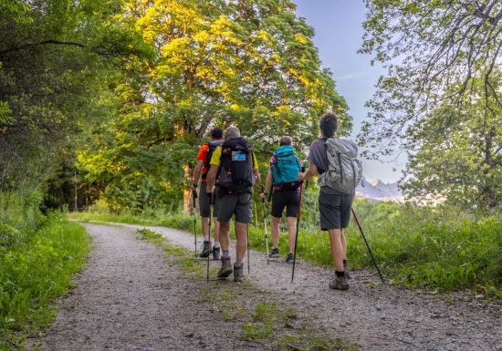 Les Resses d’en bas