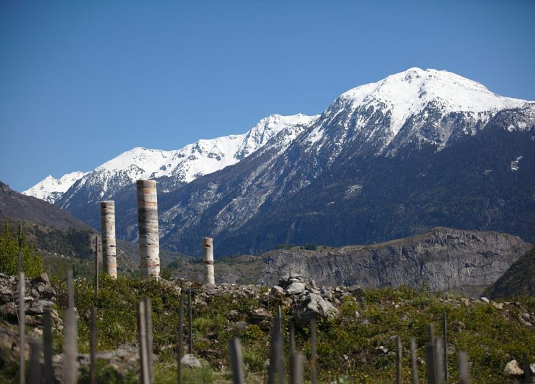 Le Jardin des Cairns