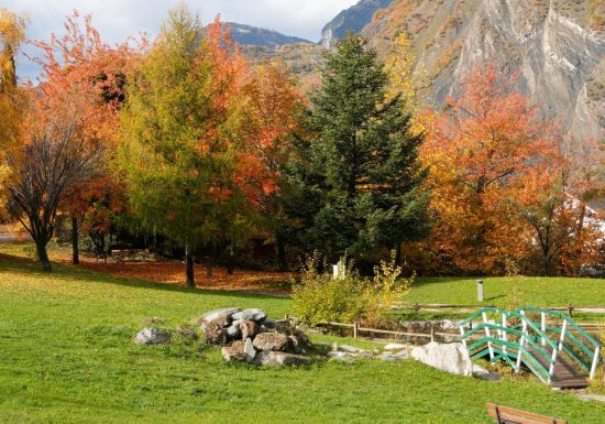 Exposition – 20ème anniversaire Photo Passion