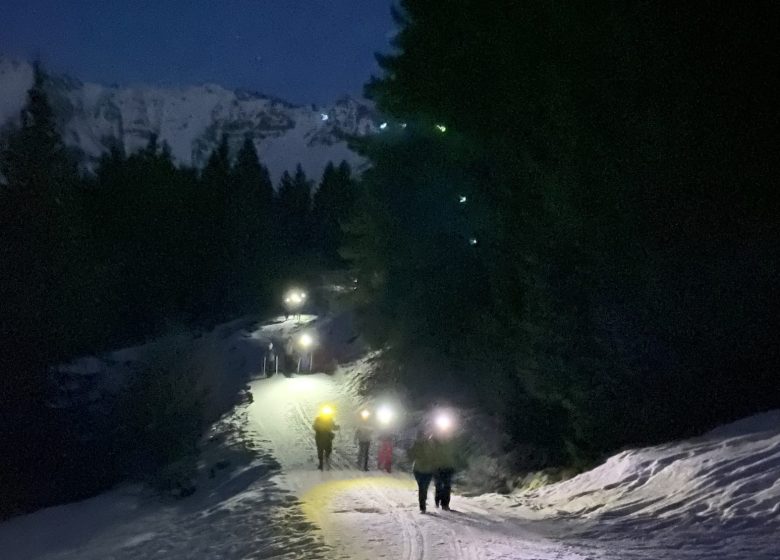 Sortie raquettes en nocturne