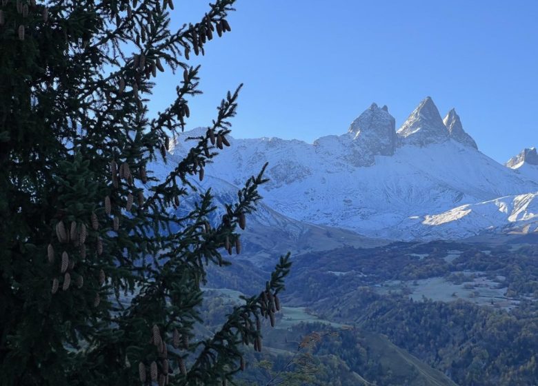 Chalet le terrier – Maison Sainfoin