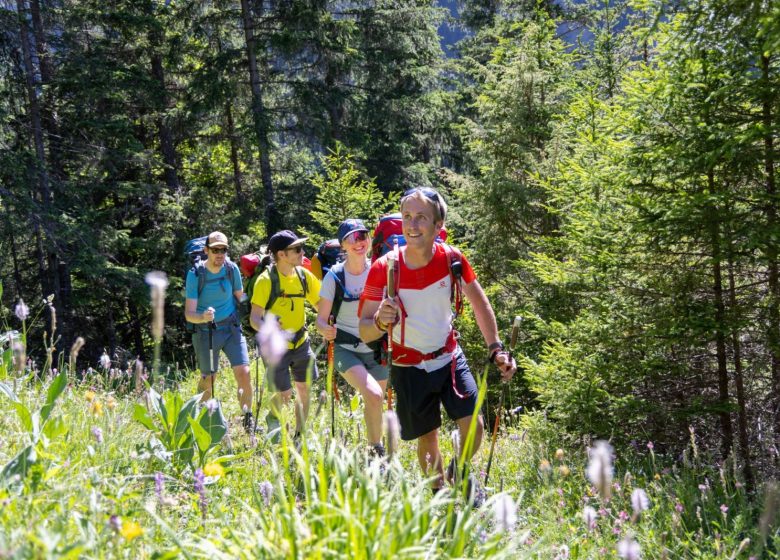 CHALET DU PERRON – COL DU MOLLARD