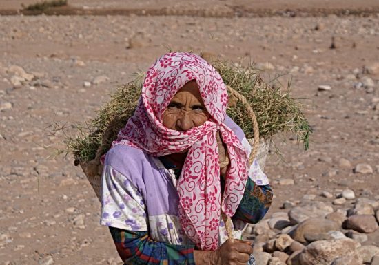 Exposition – Visages du monde