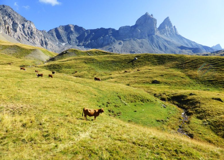 Albiez Randonnée Patrimoine – Yves Vionnet