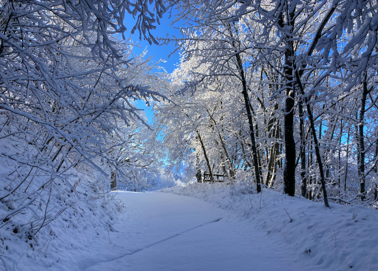 Alpexplore – Stefan Pype