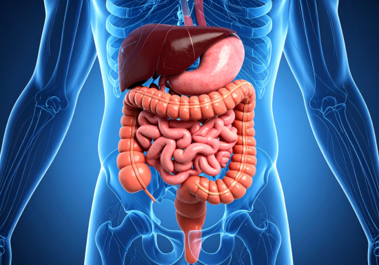 Et la santé du foie, on en parle ?