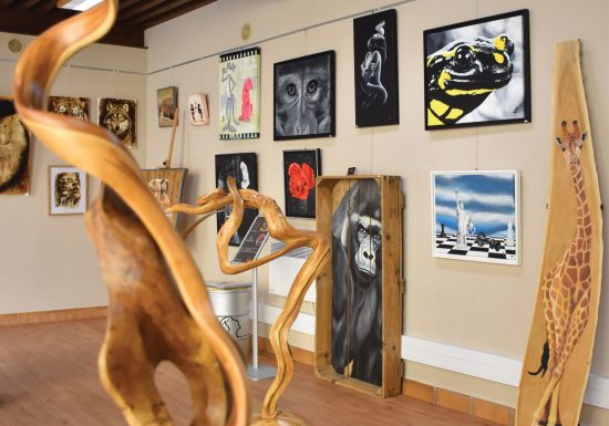 Les Arts en Ville – Exposition au Palais des Arts