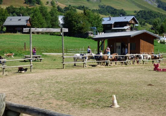 Promenades à cheval