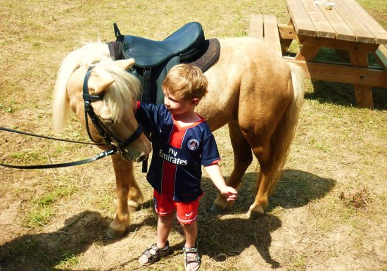 Promenades à cheval