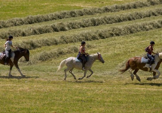 Promenades à cheval