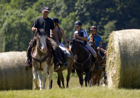 Promenades à cheval