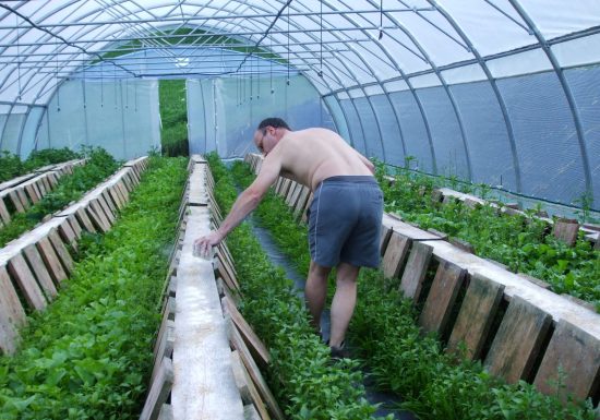 L’Escargot de la Maison Blanche
