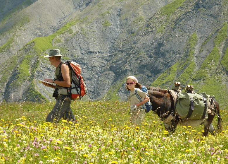 Promenade Savoyarde de découverte des Aiguilles d’Arves