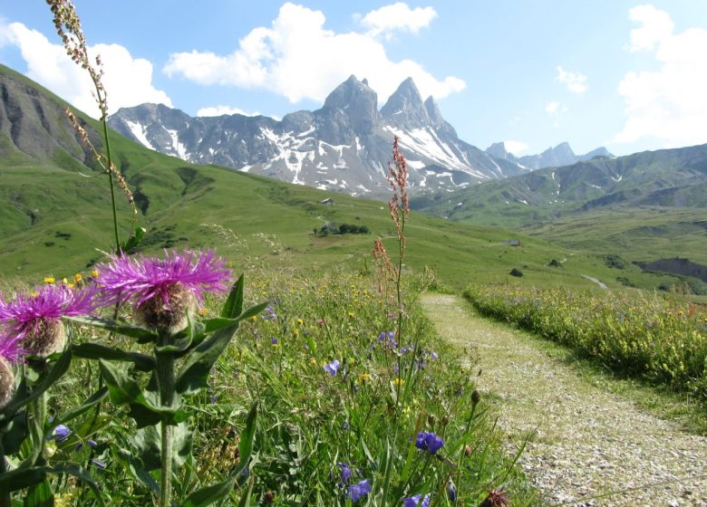 Promenade Savoyarde de découverte des Aiguilles d’Arves