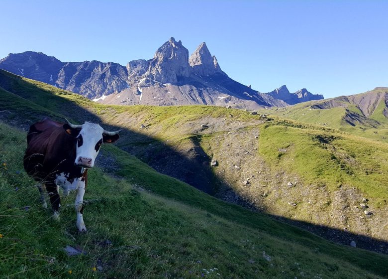 Bivouac et nuit sous dôme au Chalet d’la Croë