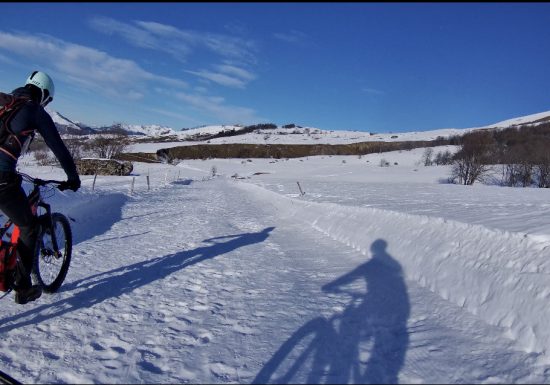 Mustang 1550 Skimium