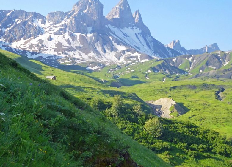 Randonnée dans l’alpage et visite à l’heure de la traite