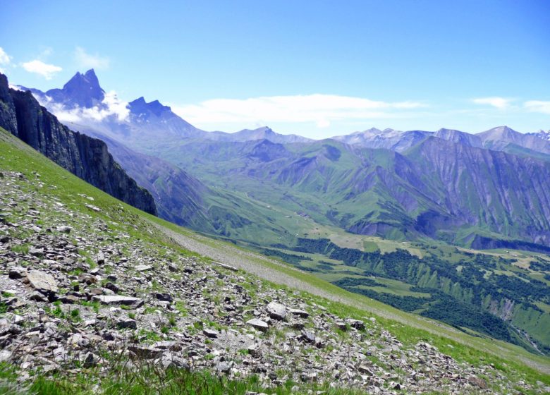 Randonnée dans l’alpage et visite à l’heure de la traite