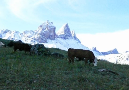 Randonnée dans l&rsquo;alpage et visite à l&rsquo;heure de la traite