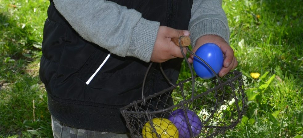 Chasse aux œufs