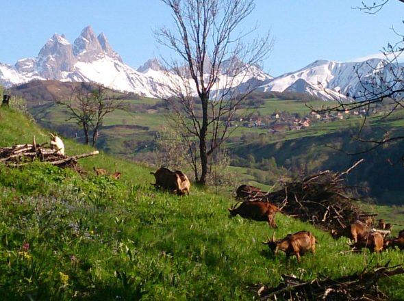 A la rencontre des producteurs