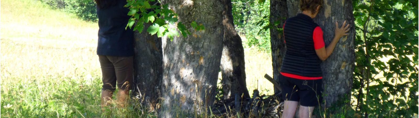 Plein d’énergie avec un arbre