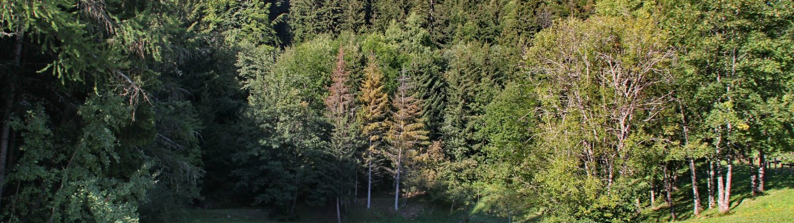 Aire de pique-nique du Lac du Lou