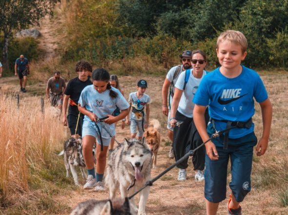 Journée cani rando, randonnée pédestre avec des chiens spéciale groupes