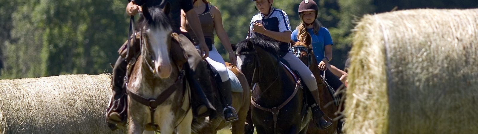 Baptême d’équitation poney en main