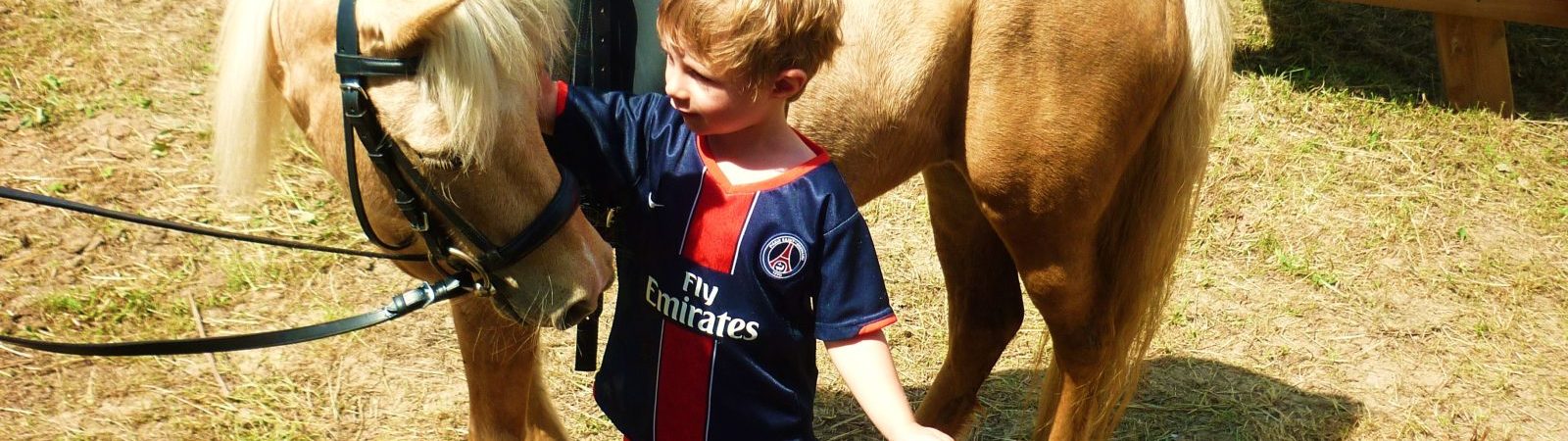 Centre équestre Kavalkada – Activités