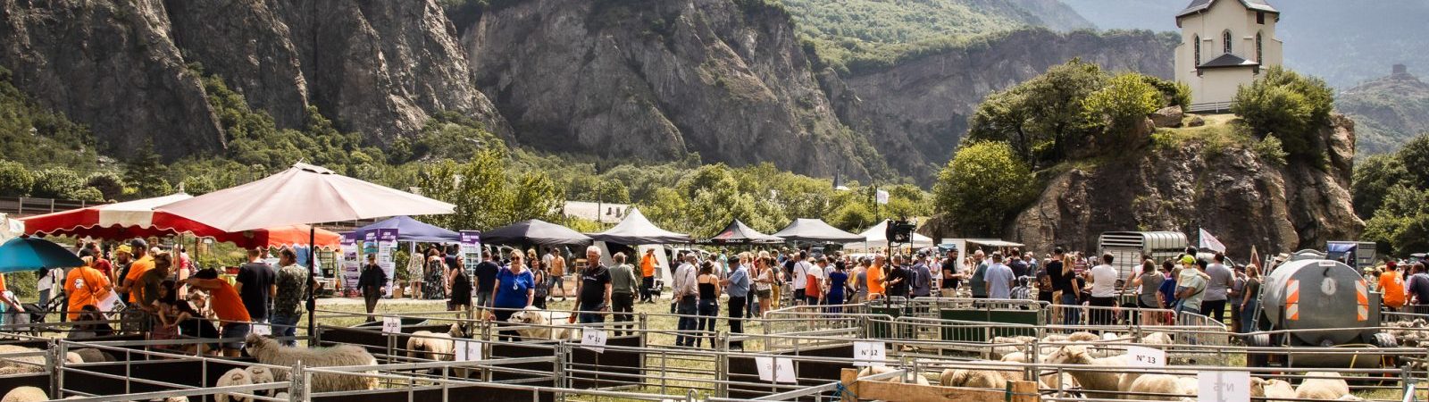 Fête de la brebis de Pontamafrey