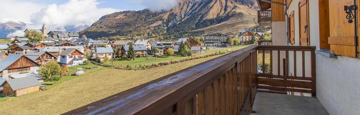 O’MIKELY – LE DINGO