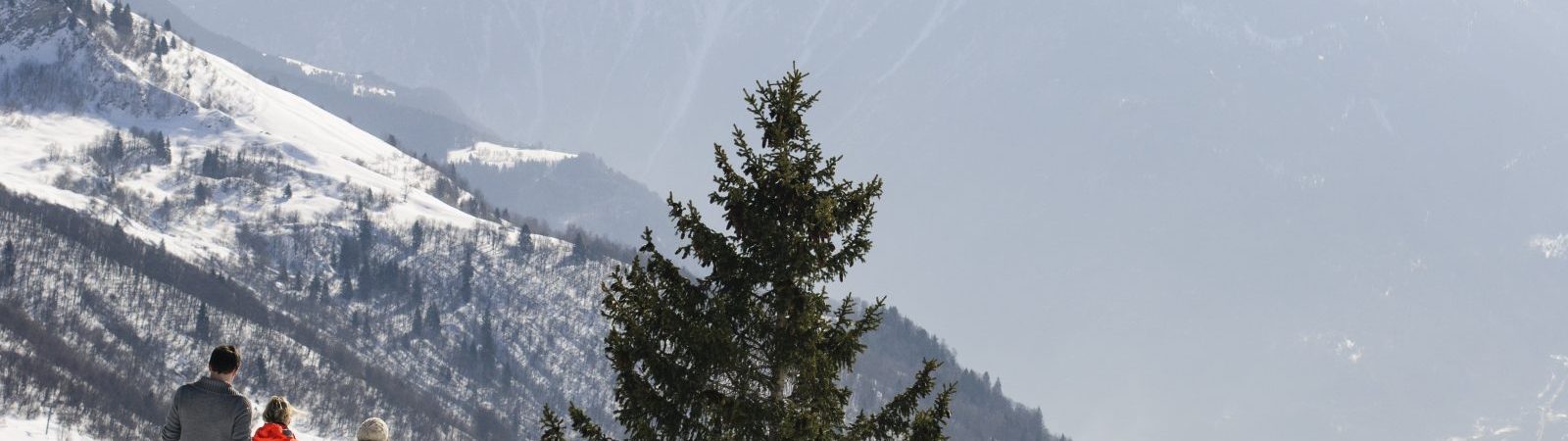 Randonnée Raquette Entre Forêt et Alpages
