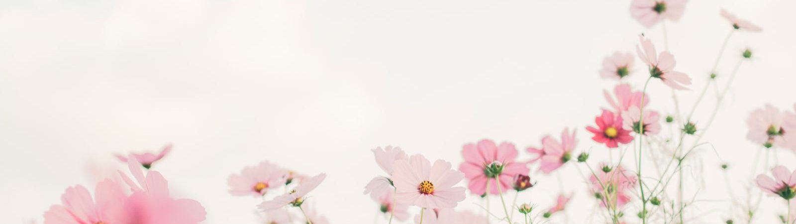 Fête du Printemps – 25ème édition