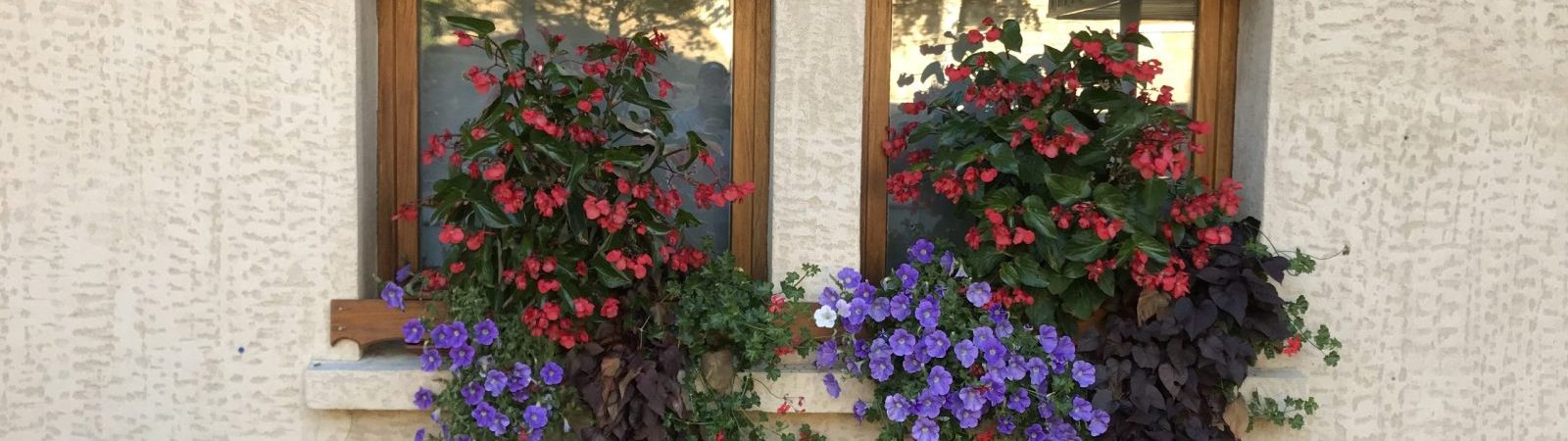 Bibliothèque de Jarrier