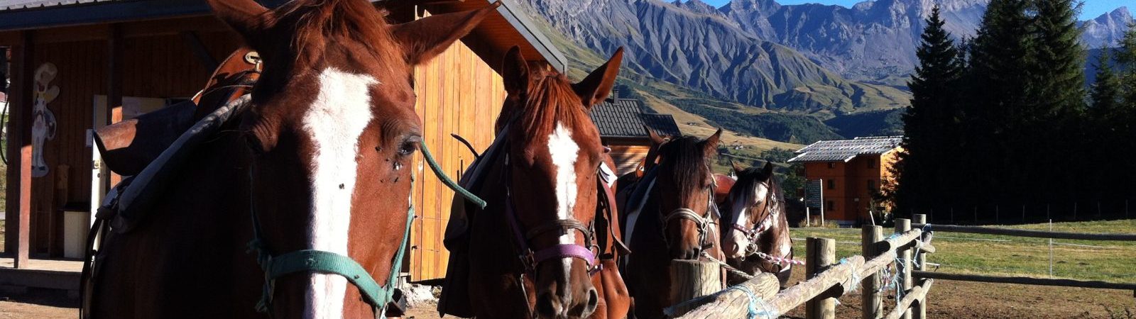 Centre équestre le Kavalkada