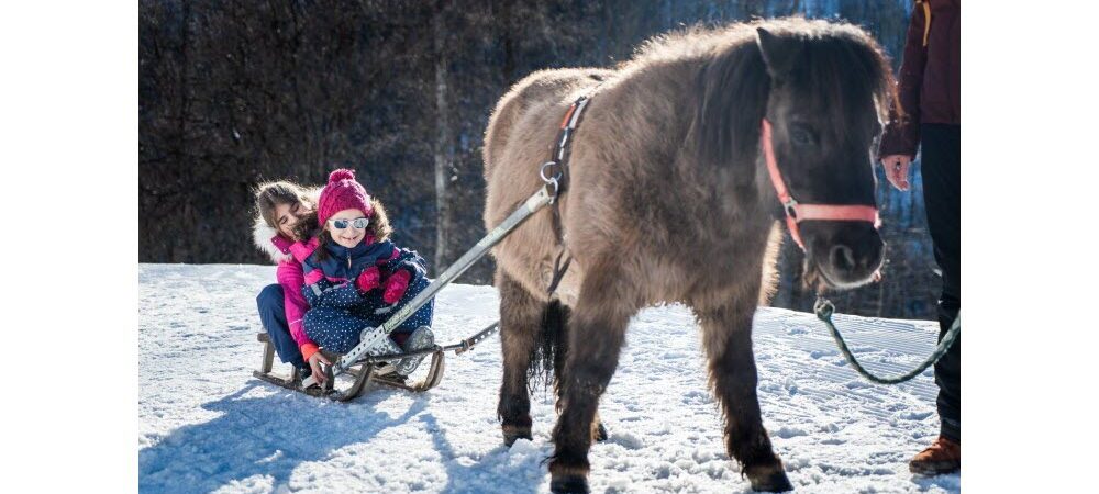 Luge-poney