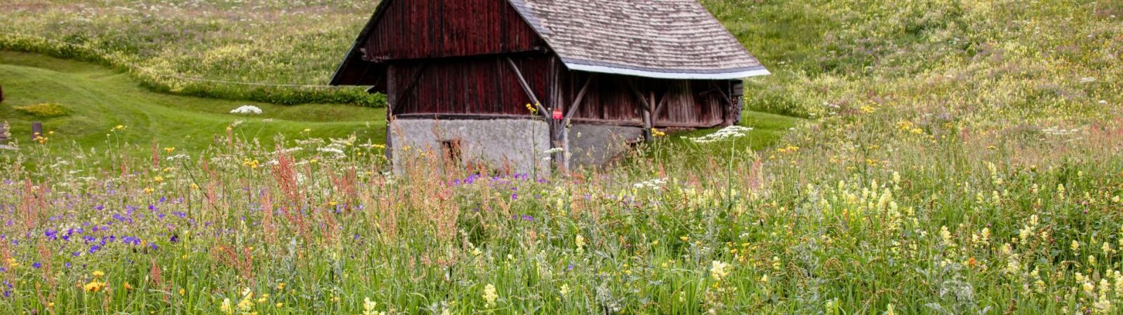 Les Trois Croix et l’Alpettaz