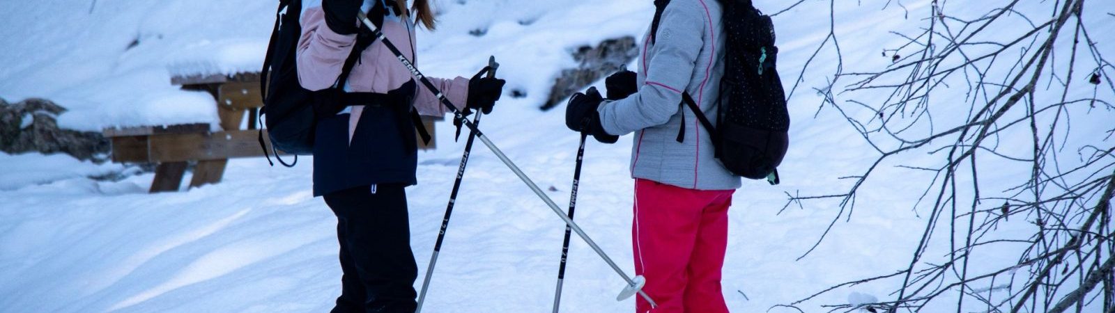 Le sentier du Haut des Bottières
