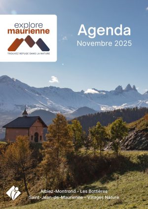 Agenda Novembre 2025