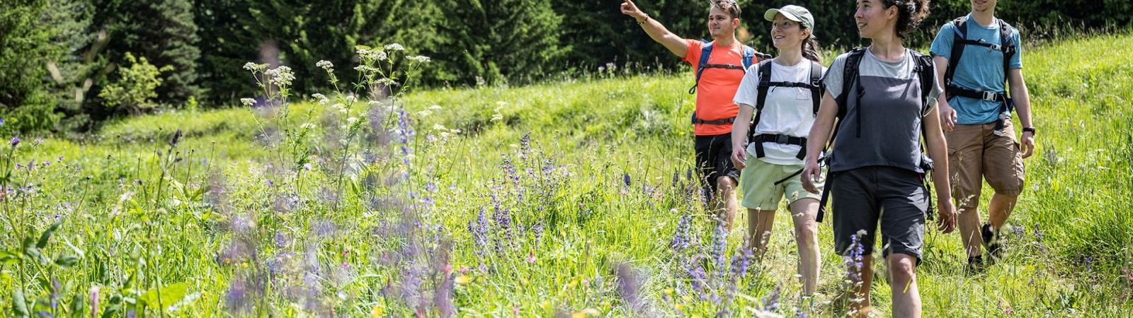 De Montandré à Champessuit