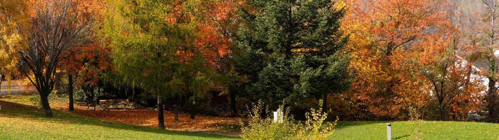 Exposition – 20ème anniversaire Photo Passion