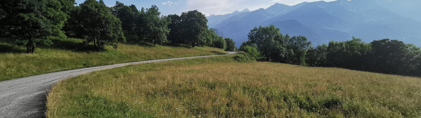 Montée de Saint-Michel 1650 (La Perousaz) par la Porte