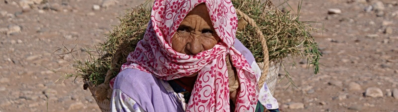 Exposition – Visages du monde